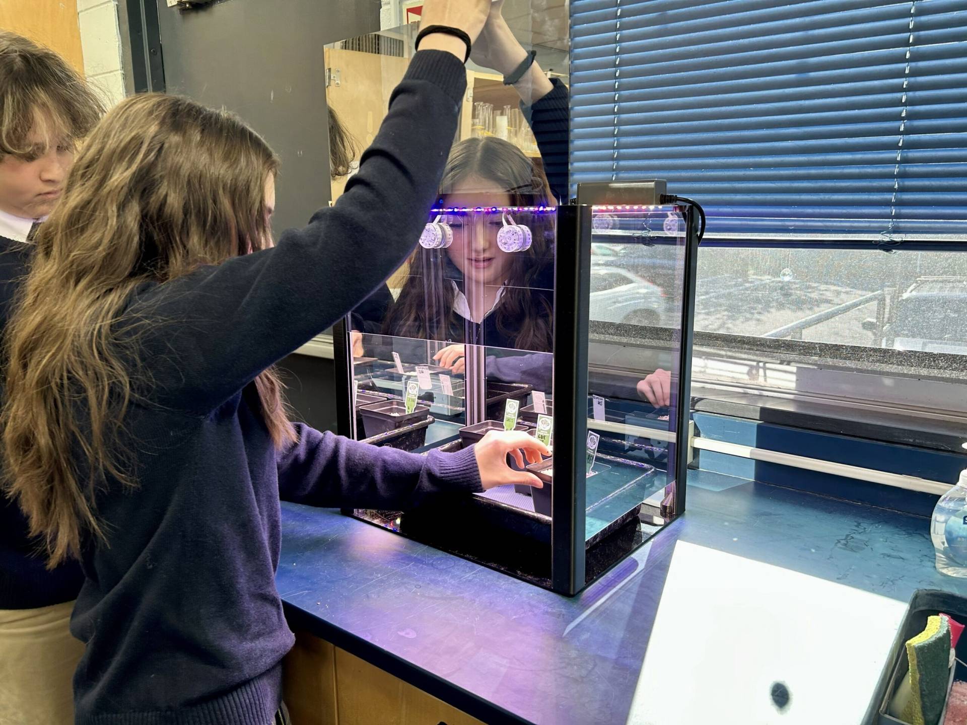 Two students at a lab counter with a glass display case; one reaches overhead to place an item, purple LED lights run along the top edge of the case.